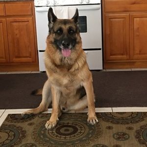 Meet your Posher, Nana